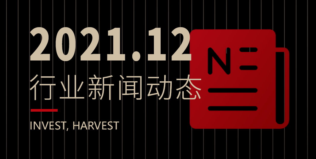 十二月区块链全球新闻精选
