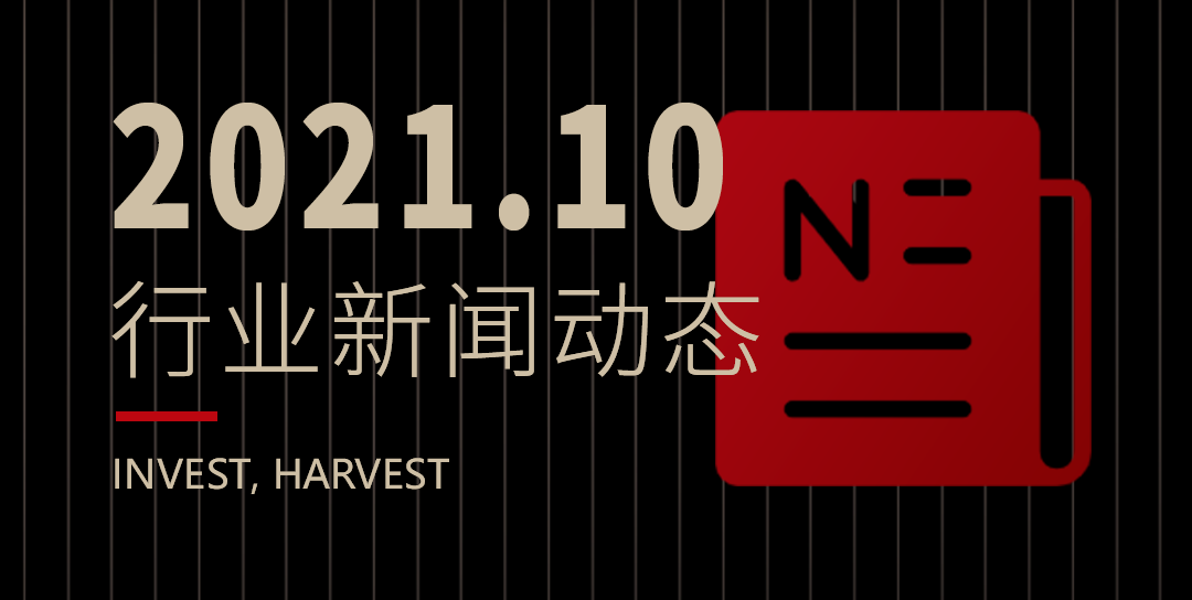 十月区块链全球新闻动态