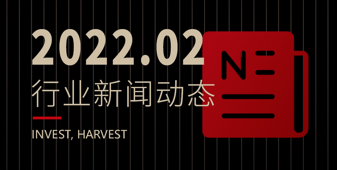 Chainfir Capital 二月全球区块链新闻精选